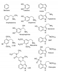 Monoamine Structure